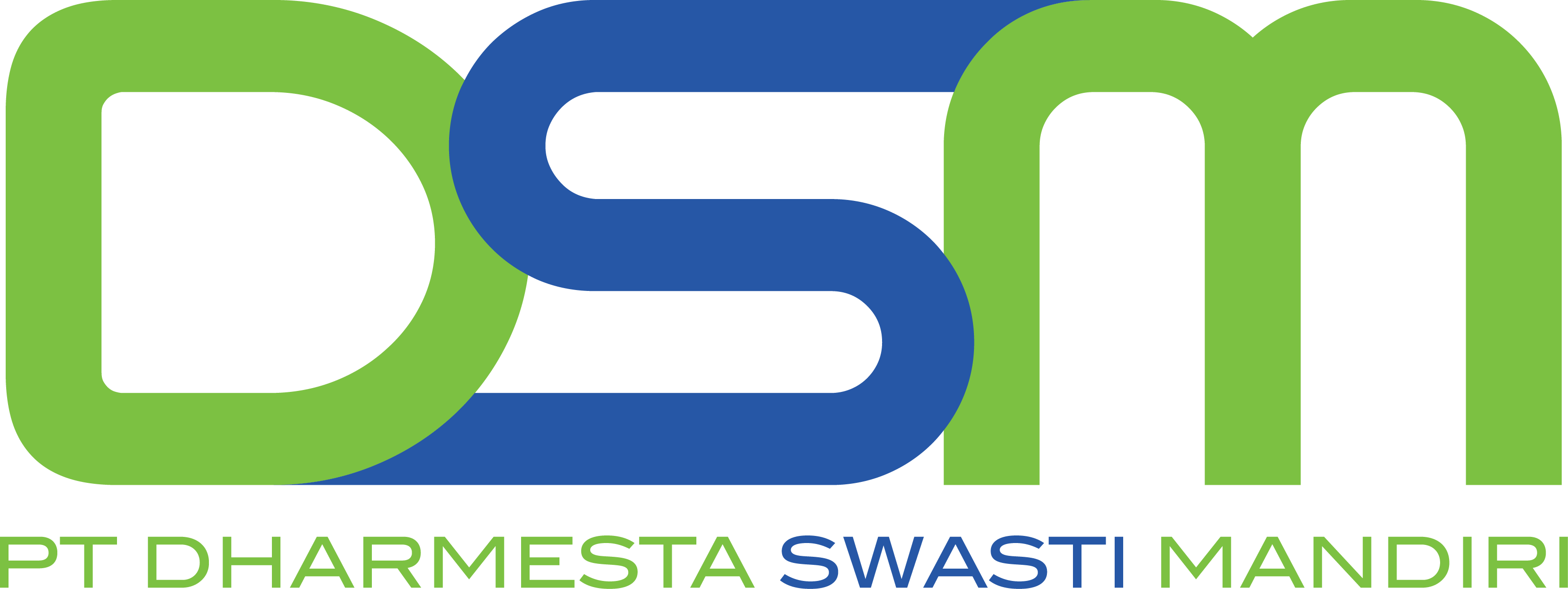 DSM Logo